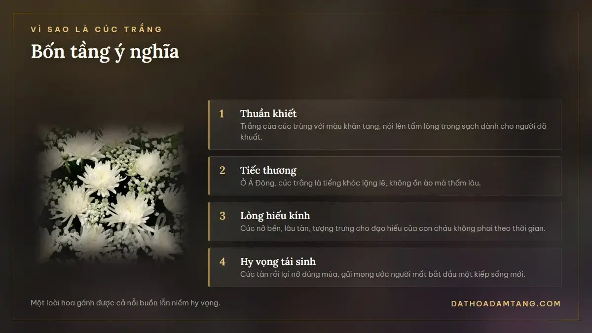 Cận cảnh hoa cúc trắng và bốn tầng ý nghĩa trong tang lễ người Việt