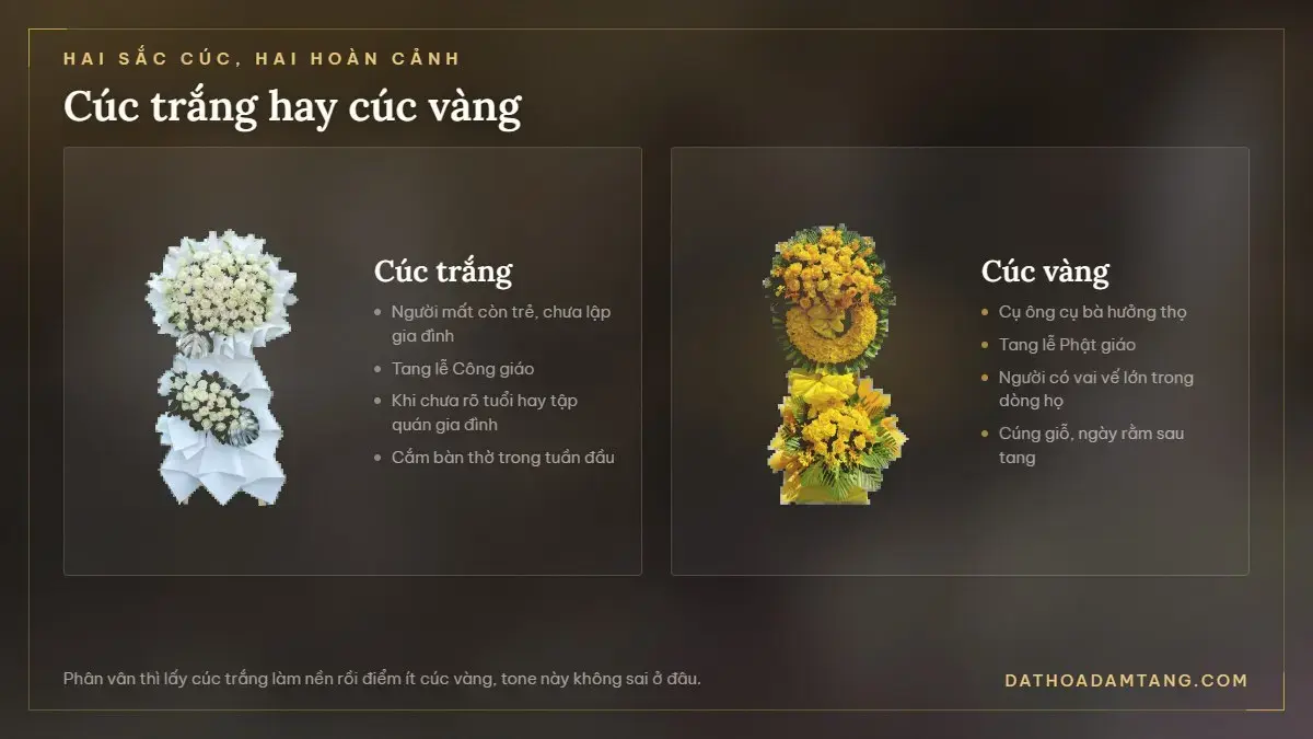 So sánh kệ hoa viếng cúc trắng và cúc vàng cùng hoàn cảnh sử dụng của từng loại