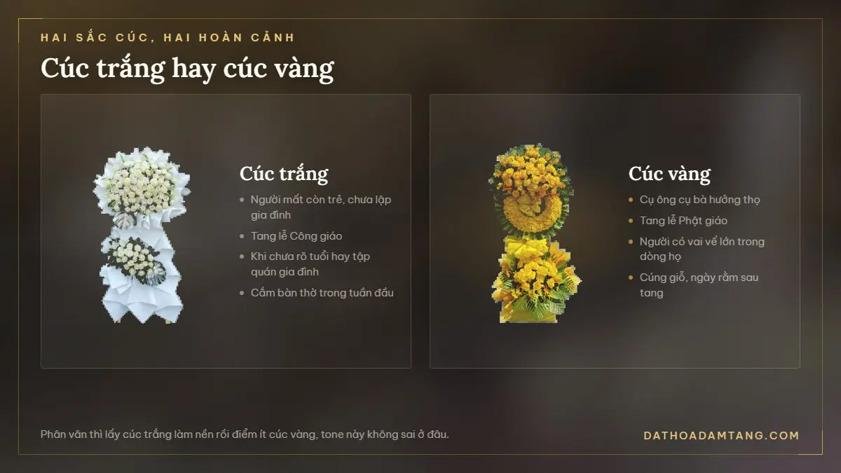 So sánh kệ hoa viếng cúc trắng và cúc vàng cùng hoàn cảnh sử dụng của từng loại