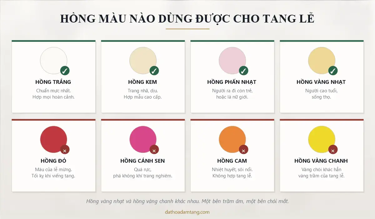Tám màu hoa hồng và màu nào dùng được cho tang lễ