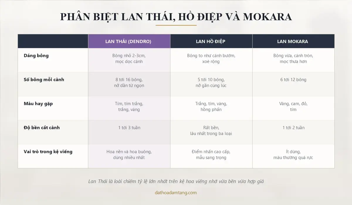 Bảng phân biệt lan Thái, lan hồ điệp và lan Mokara
